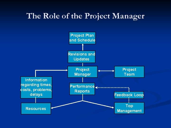 The Role of the Project Manager Project Plan and Schedule Revisions and Updates Project