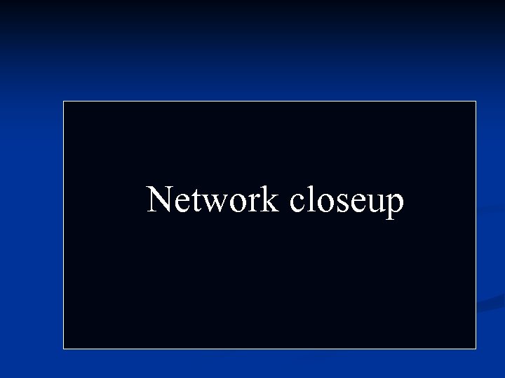 Network closeup 