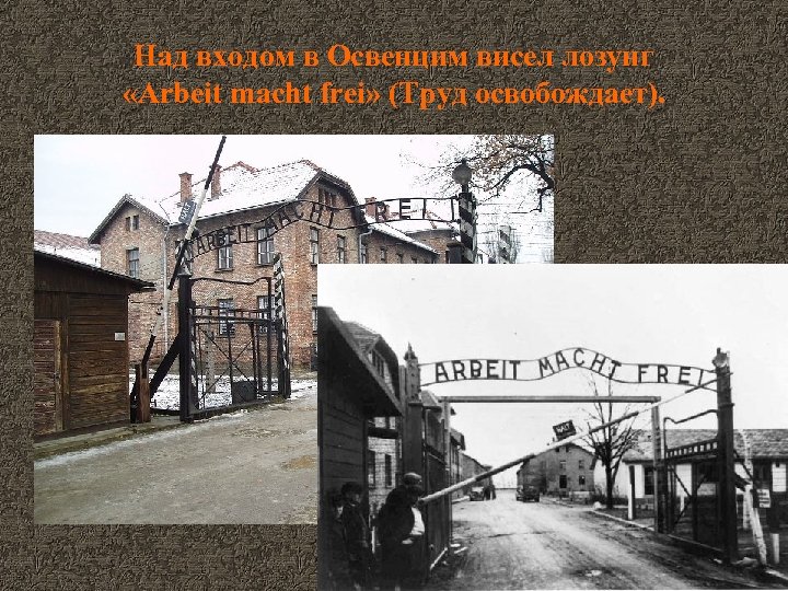 Над входом в Освенцим висел лозунг «Arbeit macht frei» (Труд освобождает). 