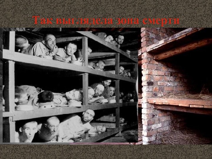 Так выглядела зона смерти 