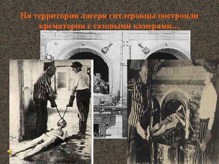 На территории лагеря гитлеровцы построили крематории с газовыми камерами… 