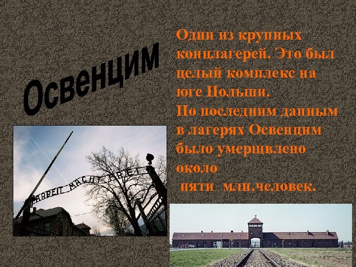 Один из крупных концлагерей. Это был целый комплекс на юге Польши. По последним данным