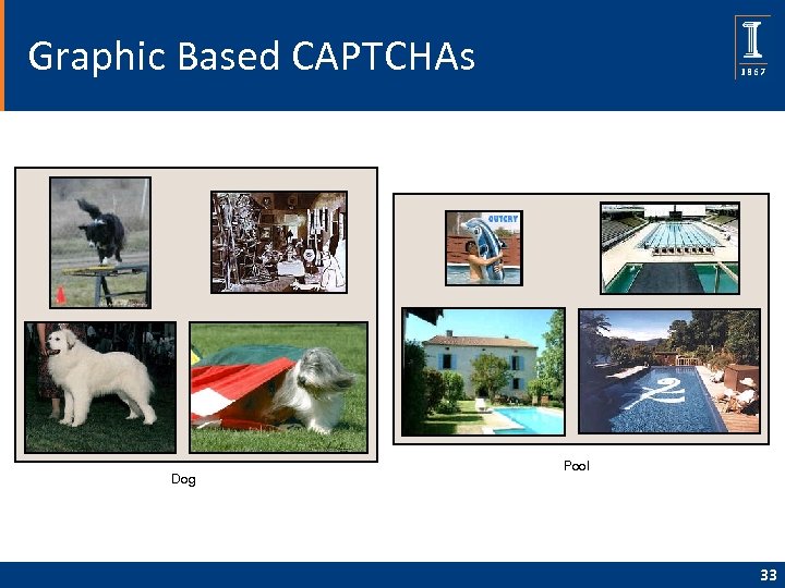 Graphic Based CAPTCHAs Dog Pool 33 