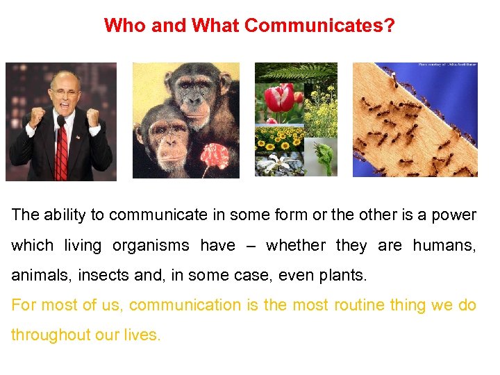 Who and What Communicates? The ability to communicate in some form or the other