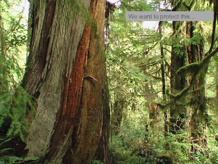 We want to protect this… 3 