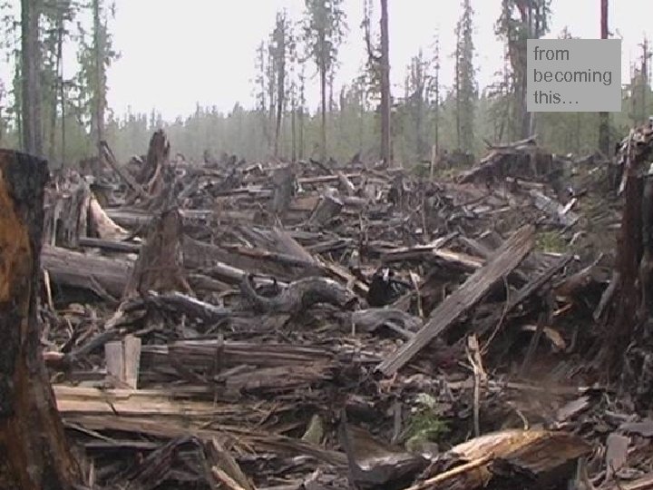 from becoming this… 4 