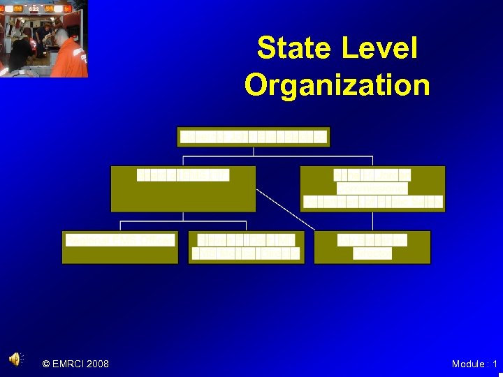 State Level Organization © EMRCI 2008 Module : 1 