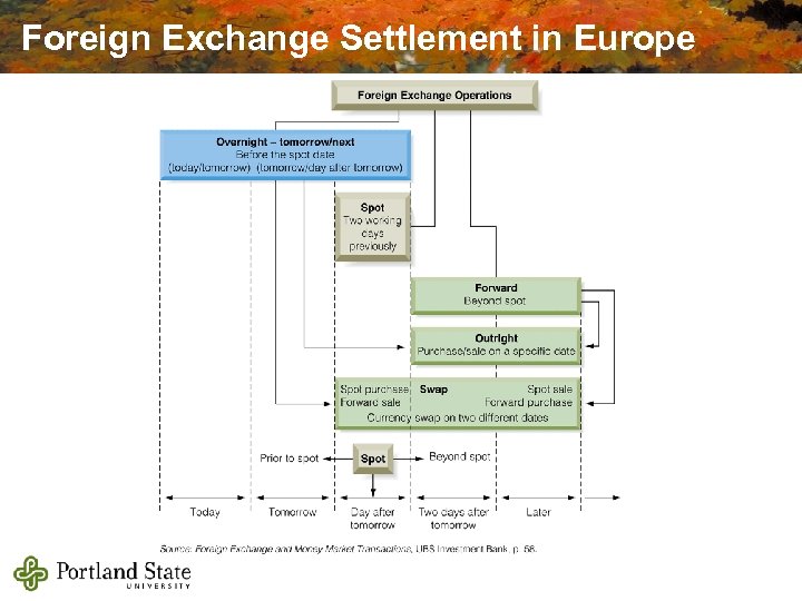 Foreign Exchange Settlement in Europe 