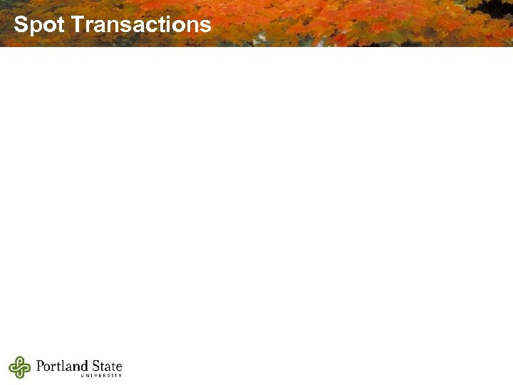 Spot Transactions 