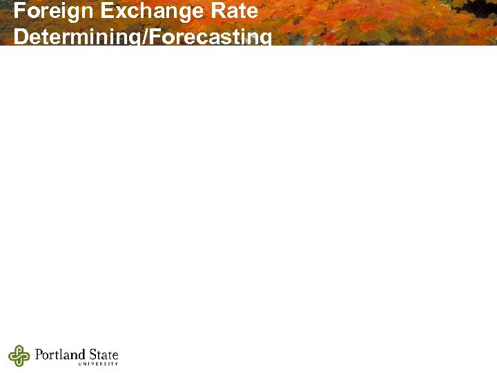 Foreign Exchange Rate Determining/Forecasting 