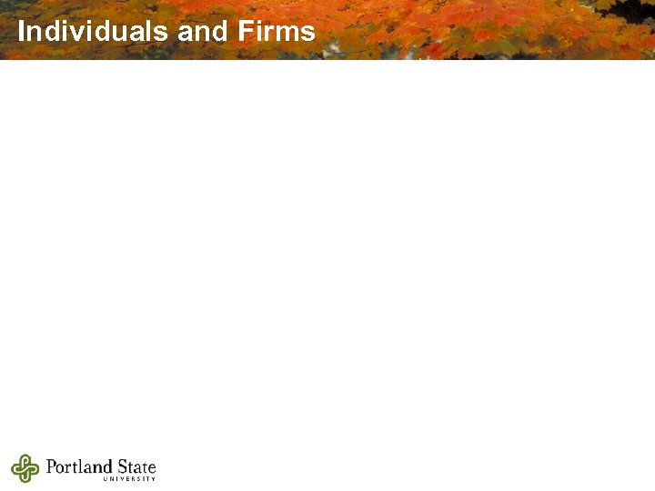 Individuals and Firms 