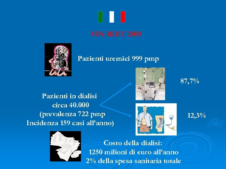 SIN-RIDT 2005 Pazienti uremici 999 pmp 87, 7% Pazienti in dialisi circa 40. 000