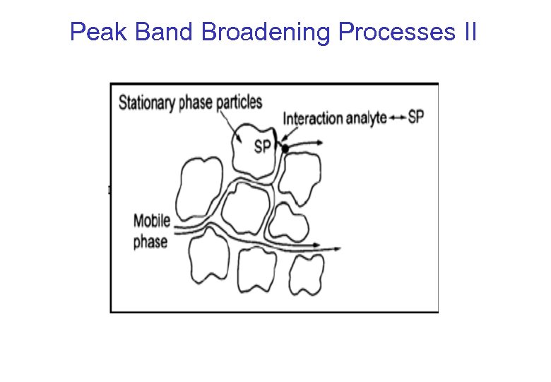 Peak Band Broadening Processes II 