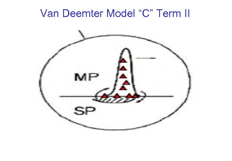 Van Deemter Model “C” Term II 