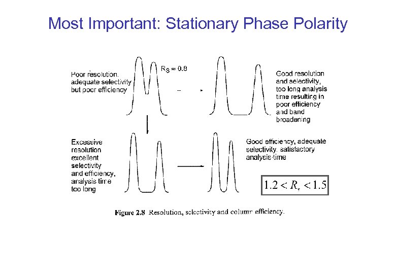 Most Important: Stationary Phase Polarity 