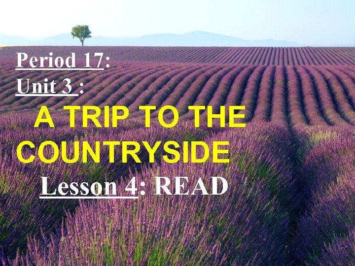 Period 17: Unit 3 : A TRIP TO THE COUNTRYSIDE Lesson 4: READ 
