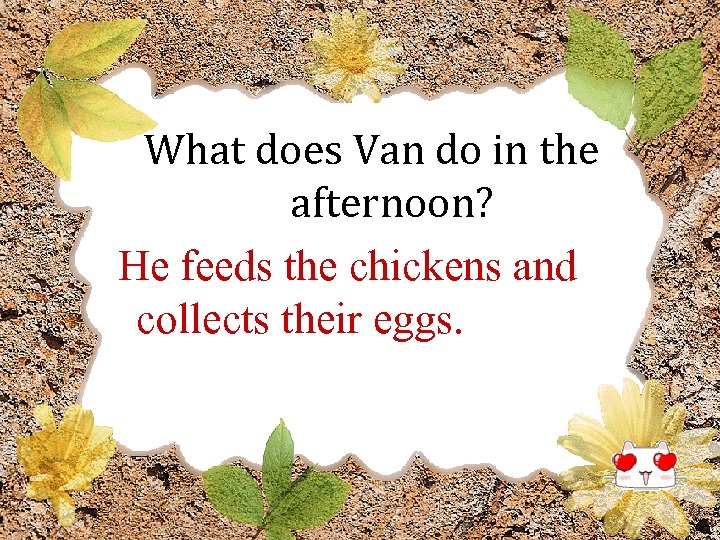 What does Van do in the afternoon? He feeds the chickens and collects their