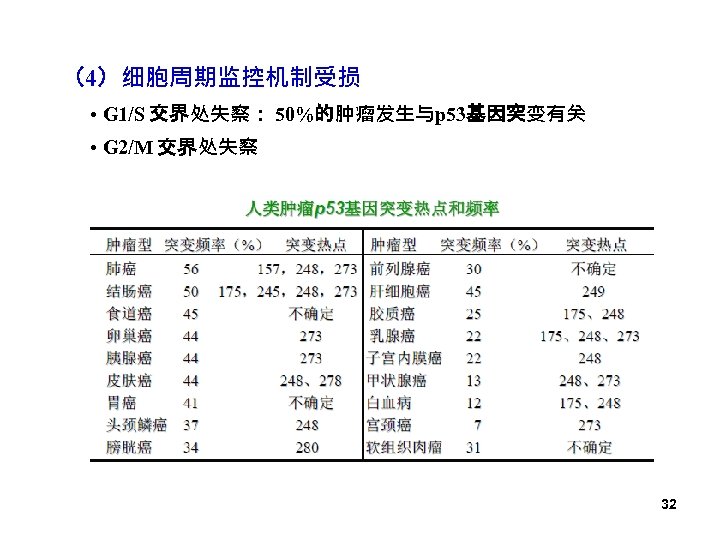 （4）细胞周期监控机制受损 • G 1/S 交界处失察： 50%的肿瘤发生与p 53基因突变有关 • G 2/M 交界处失察 32 
