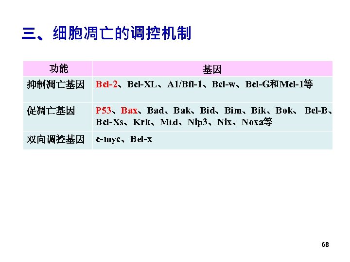 三、细胞凋亡的调控机制 功能 抑制凋亡基因 基因 Bcl-2、Bcl-XL、A 1/Bfl-1、Bcl-w、Bcl-G和Mcl-1等 促凋亡基因 P 53、Bax、Bad、Bak、Bid、Bim、Bik、Bok、 Bcl-B、 Bcl-Xs、Krk、Mtd、Nip 3、Nix、Noxa等 双向调控基因 c-myc、Bel-x