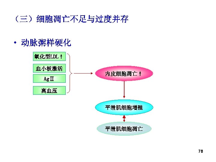 （三）细胞凋亡不足与过度并存 • 动脉粥样硬化 氧化型LDL↑ 血小板激活 AgⅡ 内皮细胞凋亡↑ 高血压 平滑肌细胞增殖 平滑肌细胞凋亡 78 