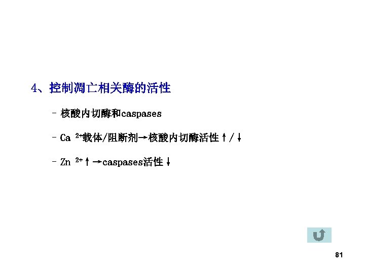 4、控制凋亡相关酶的活性 – 核酸内切酶和caspases – Ca 2+载体/阻断剂→核酸内切酶活性↑/↓ – Zn 2+↑→caspases活性↓ 81 
