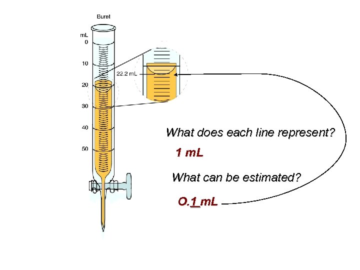 What does each line represent? 1 m. L What can be estimated? O. 1