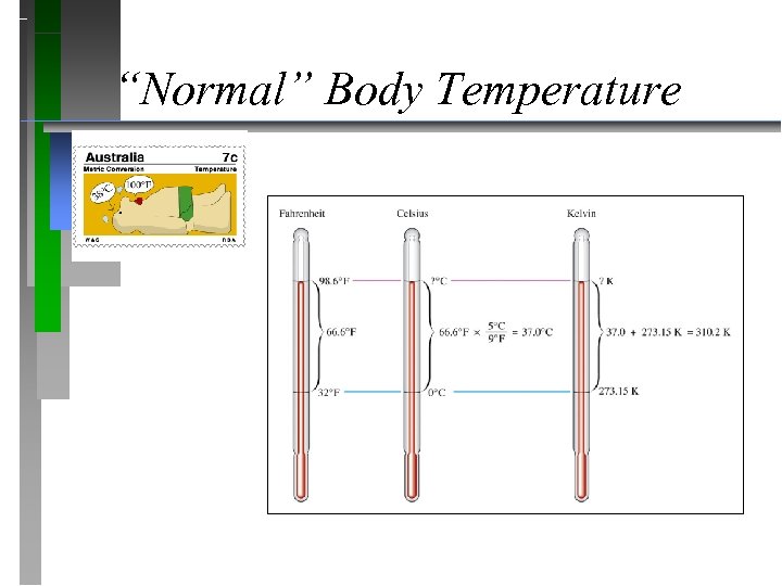 “Normal” Body Temperature 