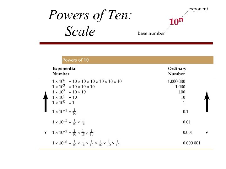 Powers of Ten: Scale 