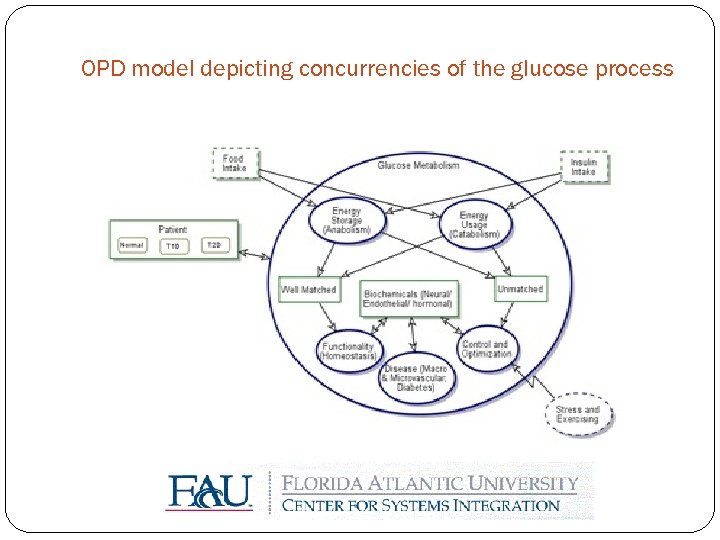 OPD model depicting concurrencies of the glucose process 