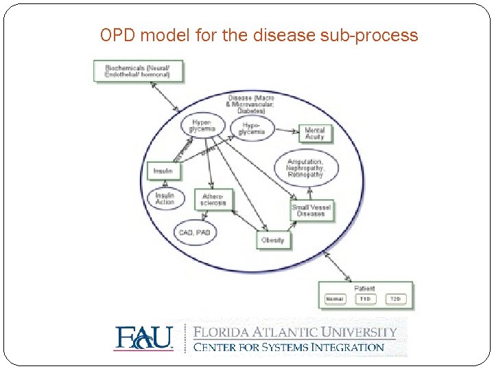 OPD model for the disease sub-process 
