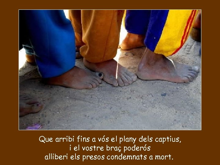 Que arribi fins a vós el plany dels captius, i el vostre braç poderós