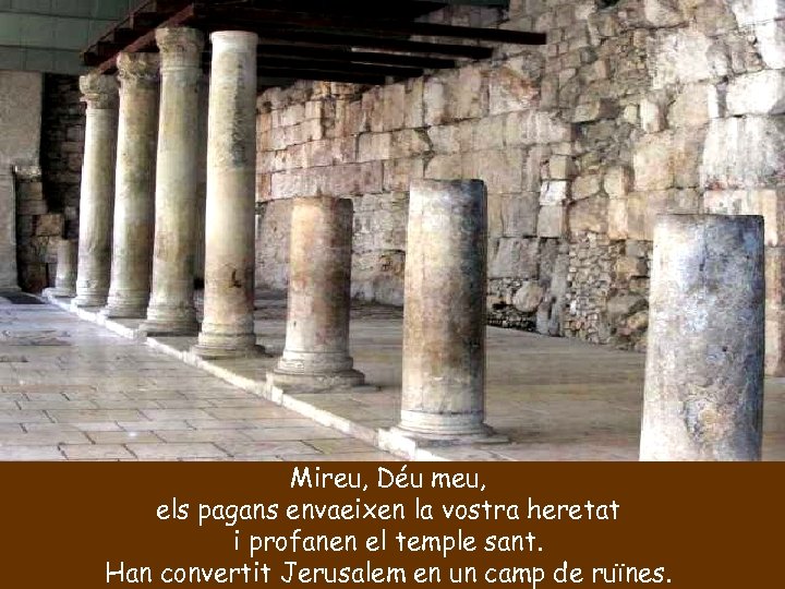 Mireu, Déu meu, els pagans envaeixen la vostra heretat i profanen el temple sant.