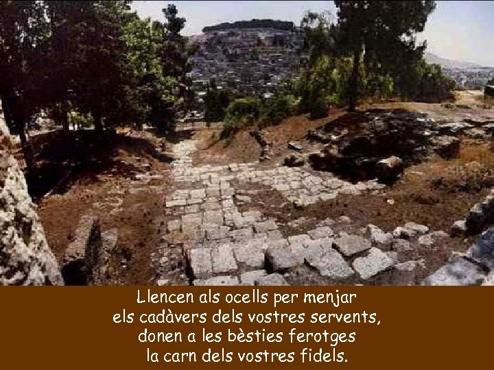 Llencen als ocells per menjar els cadàvers dels vostres servents, donen a les bèsties