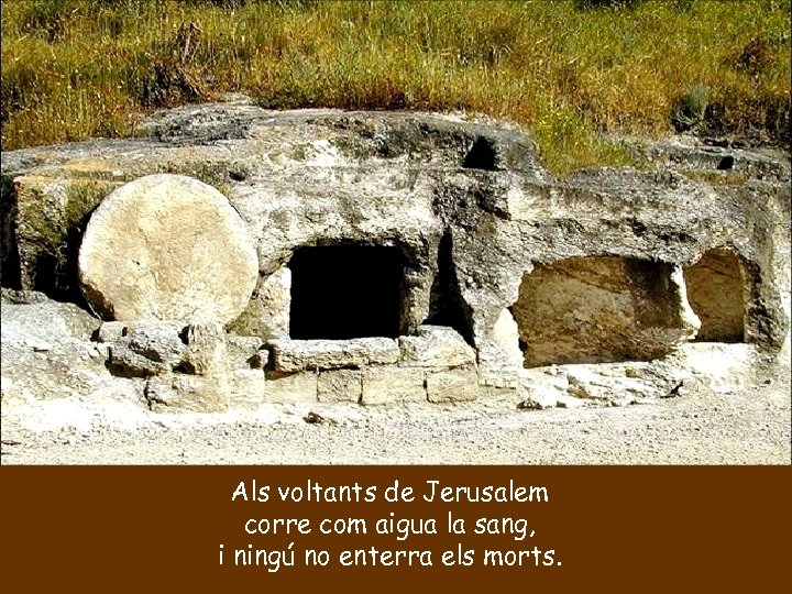 Als voltants de Jerusalem corre com aigua la sang, i ningú no enterra els