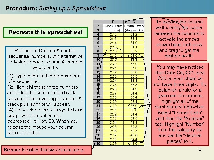 Procedure: Setting up a Spreadsheet Recreate this spreadsheet Portions of Column A contain sequential