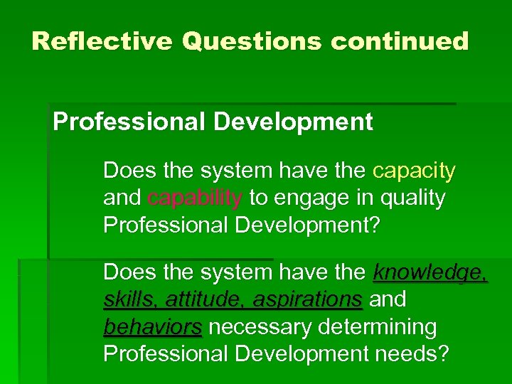 Reflective Questions continued Professional Development Does the system have the capacity and capability to