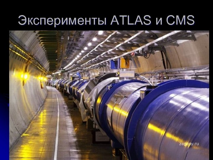 Эксперименты ATLAS и CMS 