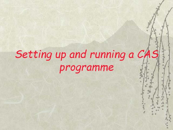 Setting up and running a CAS programme 
