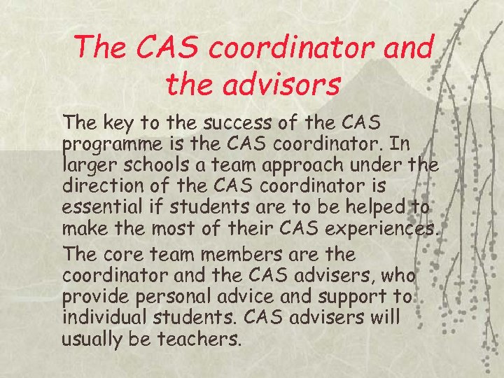 The CAS coordinator and the advisors The key to the success of the CAS