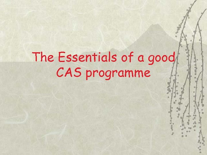 The Essentials of a good CAS programme 