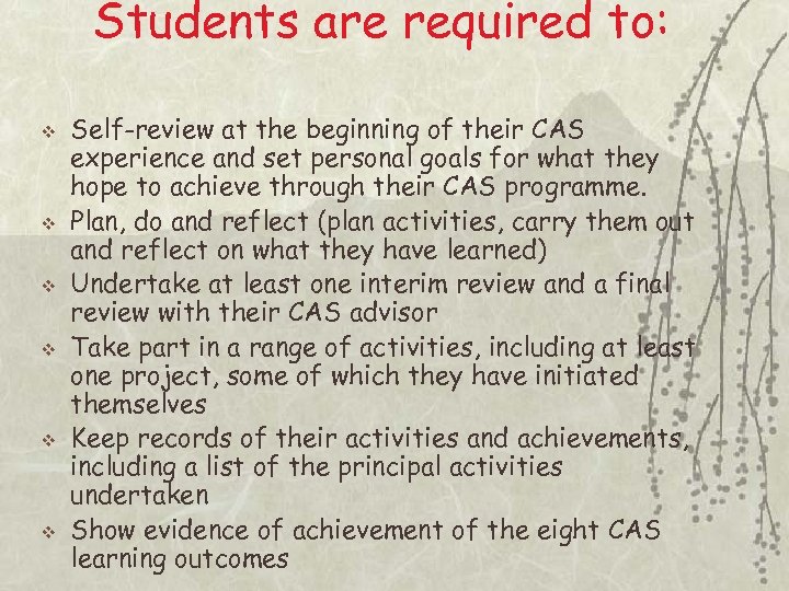 Students are required to: v v v Self-review at the beginning of their CAS
