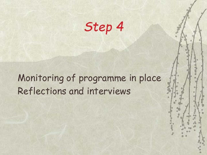 Step 4 Monitoring of programme in place Reflections and interviews 