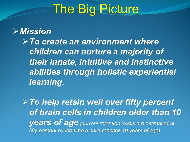 The Big Picture Ø Mission Ø To create an environment where children can nurture