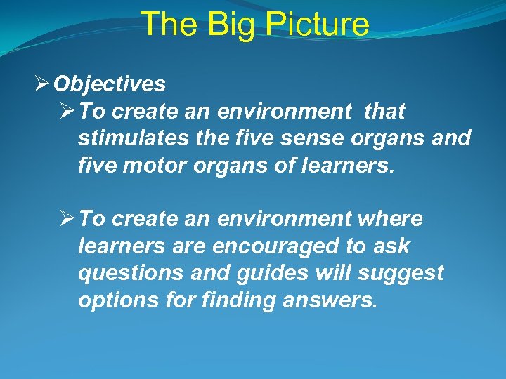 The Big Picture Ø Objectives Ø To create an environment that stimulates the five