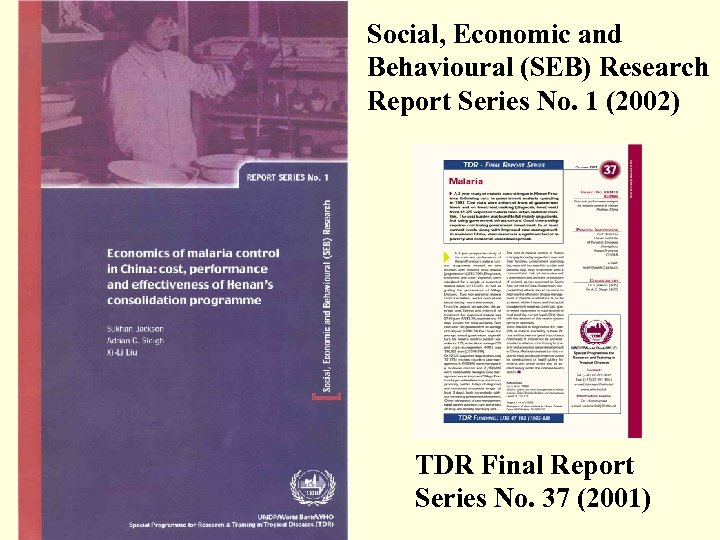 Social, Economic and Behavioural (SEB) Research Report Series No. 1 (2002) TDR Final Report