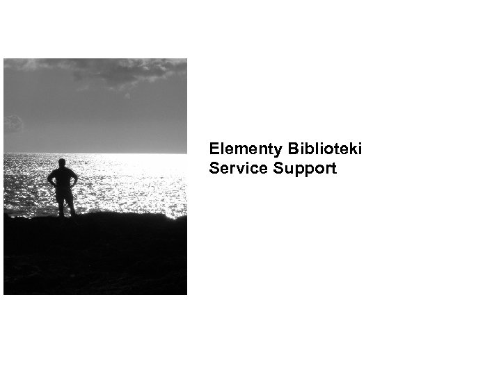 Elementy Biblioteki Service Support 8 