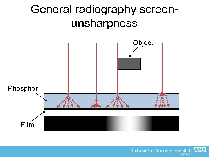 General radiography screenunsharpness Object Phosphor Film 