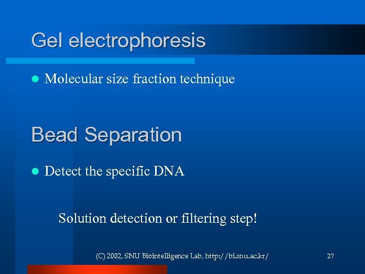 Gel electrophoresis l Molecular size fraction technique Bead Separation l Detect the specific DNA