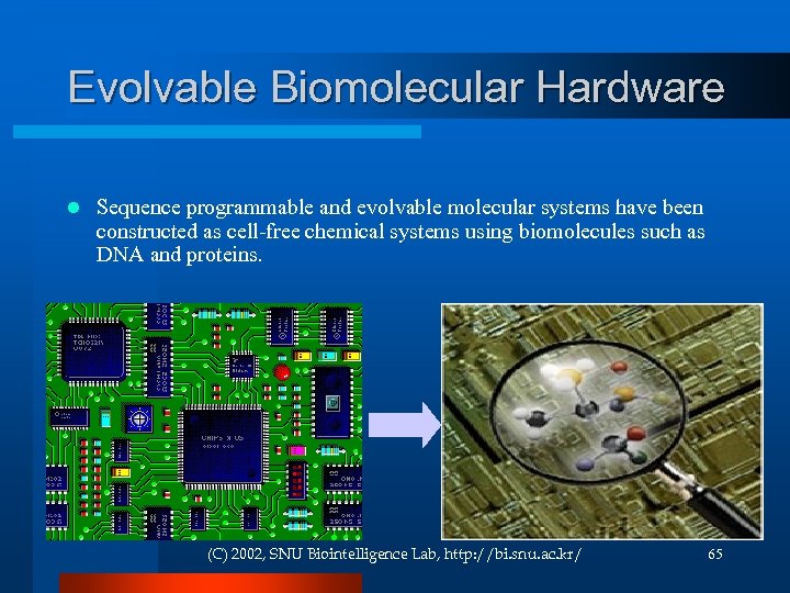 Evolvable Biomolecular Hardware l Sequence programmable and evolvable molecular systems have been constructed as