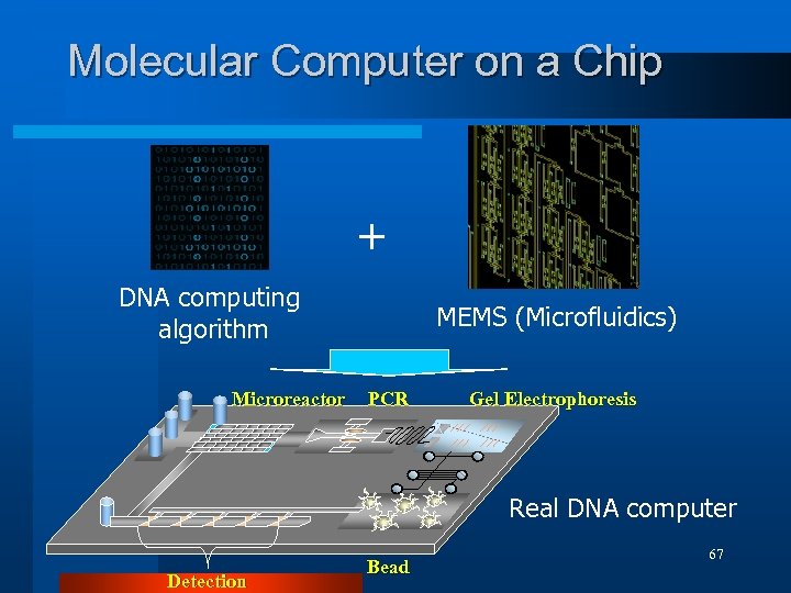 Molecular Computer on a Chip + DNA computing algorithm Microreactor MEMS (Microfluidics) PCR Gel